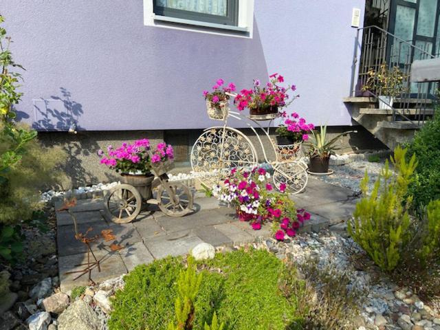 Haus Lila Welle Apartment Nordhalben Luaran gambar